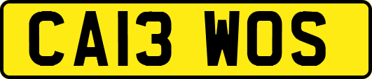 CA13WOS