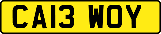 CA13WOY