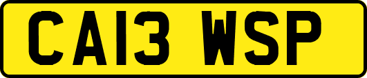 CA13WSP