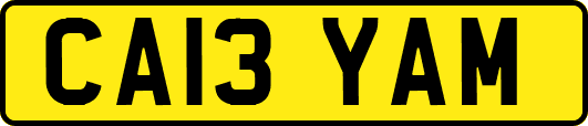 CA13YAM