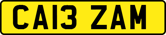 CA13ZAM