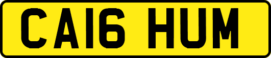 CA16HUM