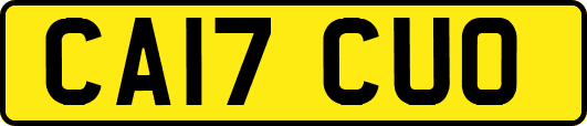 CA17CUO