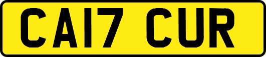 CA17CUR