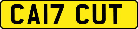 CA17CUT
