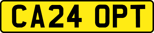 CA24OPT