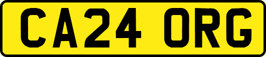 CA24ORG