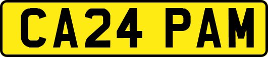 CA24PAM