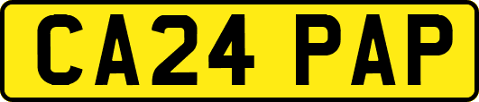 CA24PAP