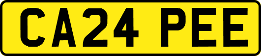 CA24PEE