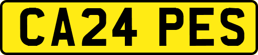 CA24PES