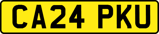 CA24PKU