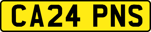 CA24PNS