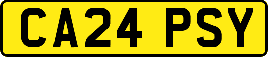 CA24PSY
