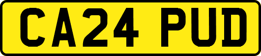 CA24PUD