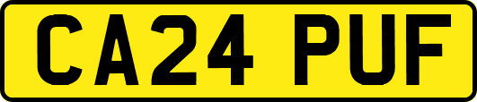 CA24PUF