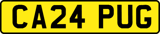 CA24PUG