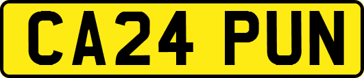 CA24PUN