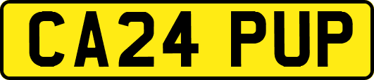 CA24PUP