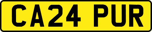 CA24PUR