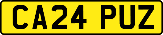CA24PUZ