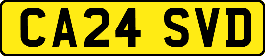 CA24SVD
