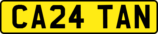 CA24TAN