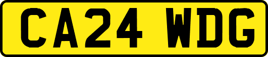 CA24WDG