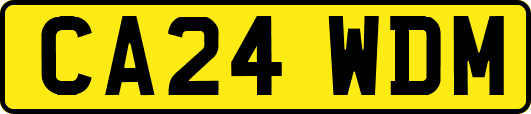 CA24WDM