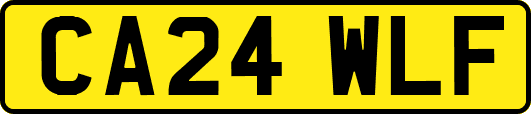 CA24WLF