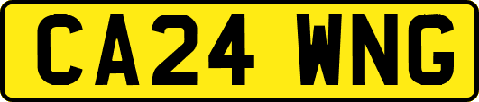 CA24WNG