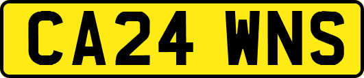 CA24WNS