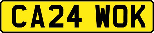 CA24WOK