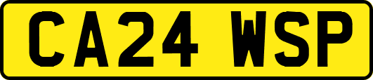 CA24WSP