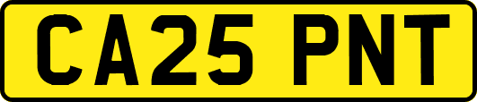 CA25PNT