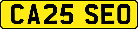 CA25SEO