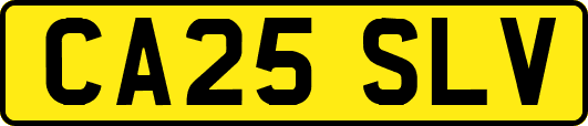 CA25SLV
