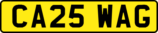 CA25WAG
