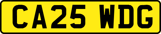 CA25WDG