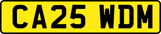 CA25WDM