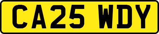 CA25WDY