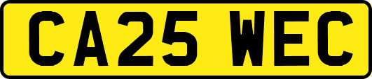 CA25WEC