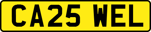 CA25WEL