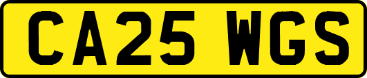 CA25WGS