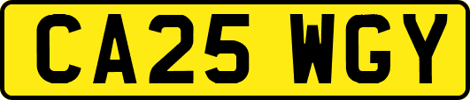 CA25WGY