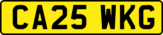 CA25WKG