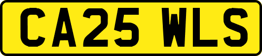 CA25WLS