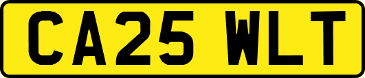 CA25WLT