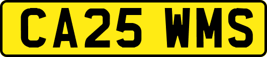 CA25WMS