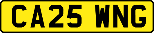 CA25WNG